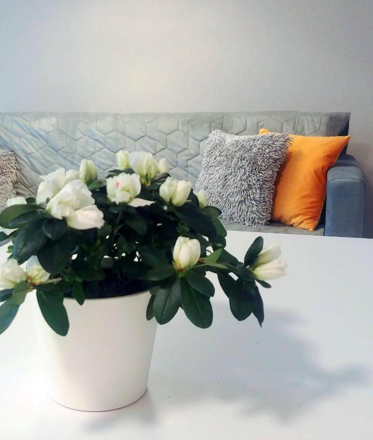 Bel Mare Wyspa, Apartament Z Parkingiem Gratis Miedzyzdroje Buitenkant foto